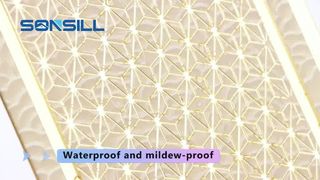 Πάνελ τοίχου PS 2